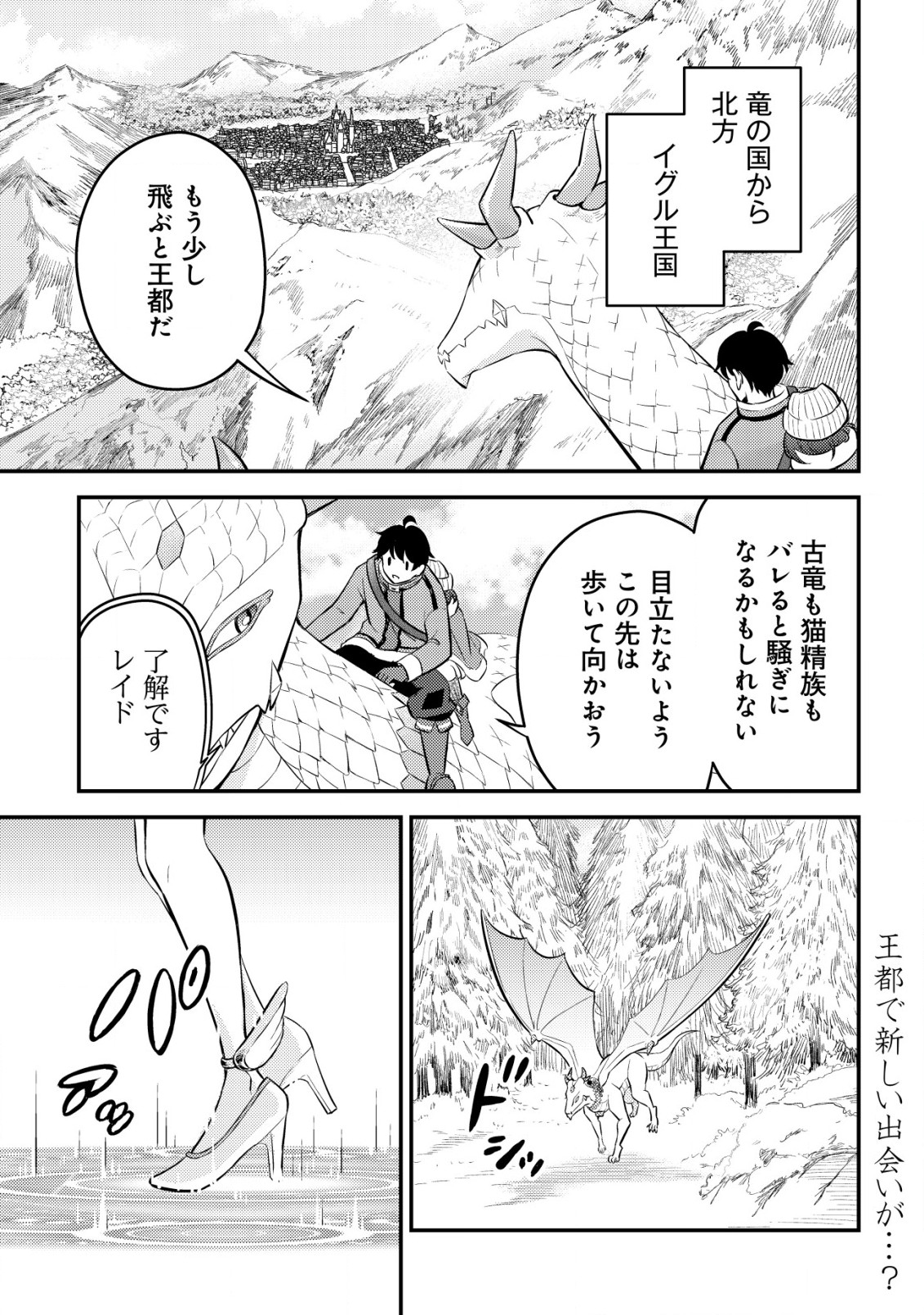 Shinryuu Teikoku no Dragon Tamer - Chapter 6 - Page 2